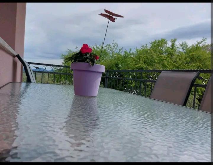 Apartman Hope Zmijavci Εξωτερικό φωτογραφία